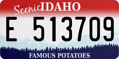 ID license plate E513709