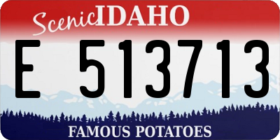 ID license plate E513713