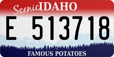 ID license plate E513718