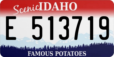 ID license plate E513719