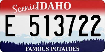 ID license plate E513722