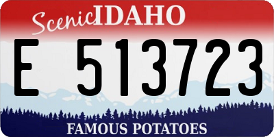 ID license plate E513723