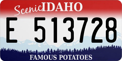 ID license plate E513728