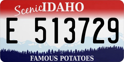 ID license plate E513729