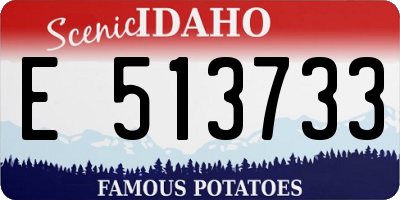 ID license plate E513733