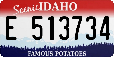 ID license plate E513734