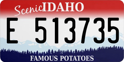 ID license plate E513735