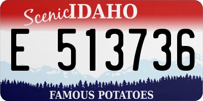 ID license plate E513736