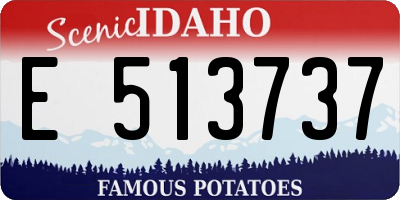 ID license plate E513737