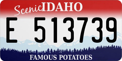 ID license plate E513739