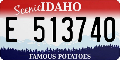 ID license plate E513740