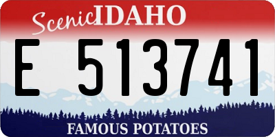 ID license plate E513741