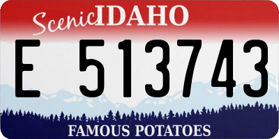 ID license plate E513743