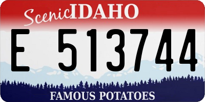 ID license plate E513744