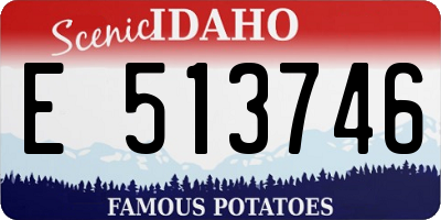 ID license plate E513746