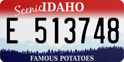 ID license plate E513748