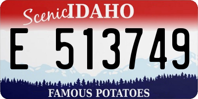 ID license plate E513749