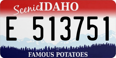 ID license plate E513751