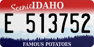 ID license plate E513752