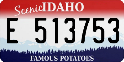 ID license plate E513753