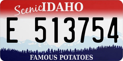 ID license plate E513754
