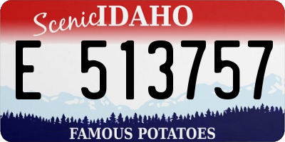 ID license plate E513757