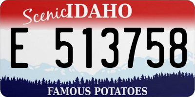 ID license plate E513758