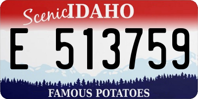 ID license plate E513759