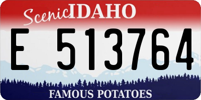ID license plate E513764
