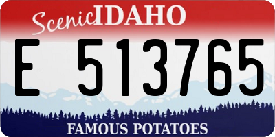 ID license plate E513765