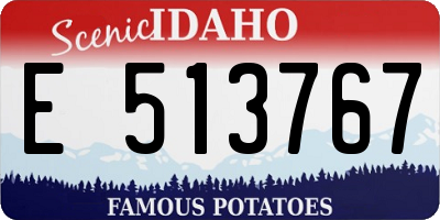 ID license plate E513767