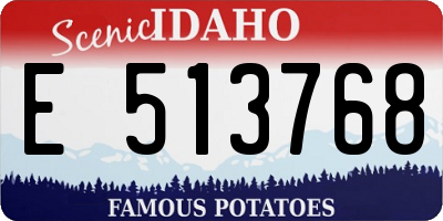 ID license plate E513768