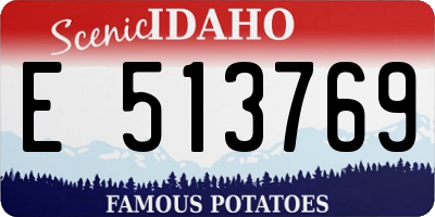 ID license plate E513769