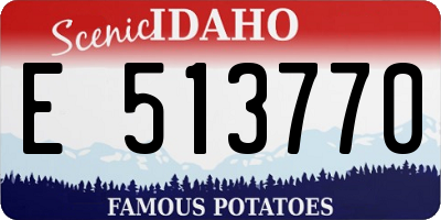 ID license plate E513770