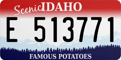 ID license plate E513771