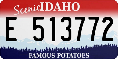 ID license plate E513772