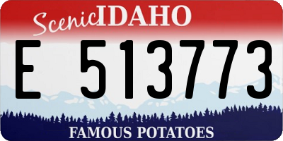 ID license plate E513773