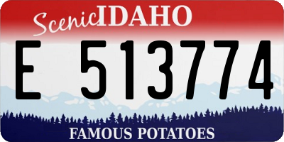 ID license plate E513774