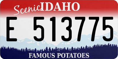 ID license plate E513775