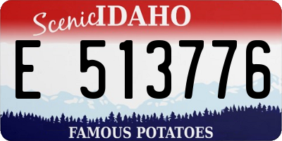 ID license plate E513776