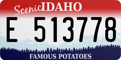 ID license plate E513778