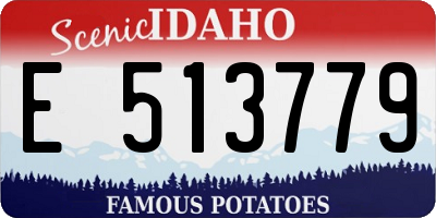 ID license plate E513779
