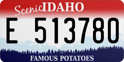 ID license plate E513780