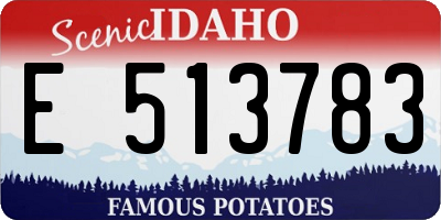 ID license plate E513783