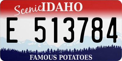 ID license plate E513784