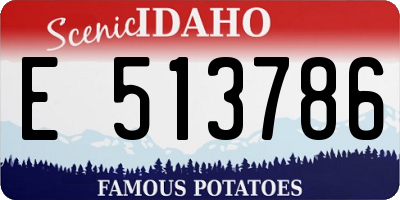 ID license plate E513786