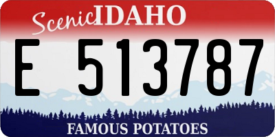 ID license plate E513787