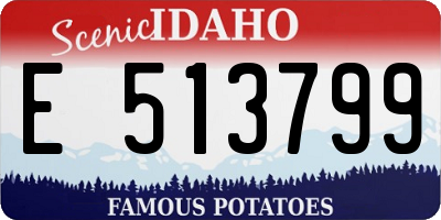 ID license plate E513799