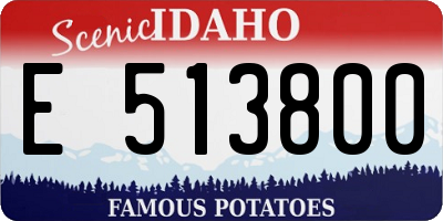 ID license plate E513800