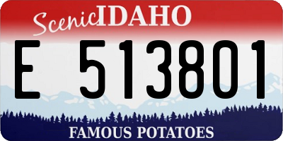 ID license plate E513801